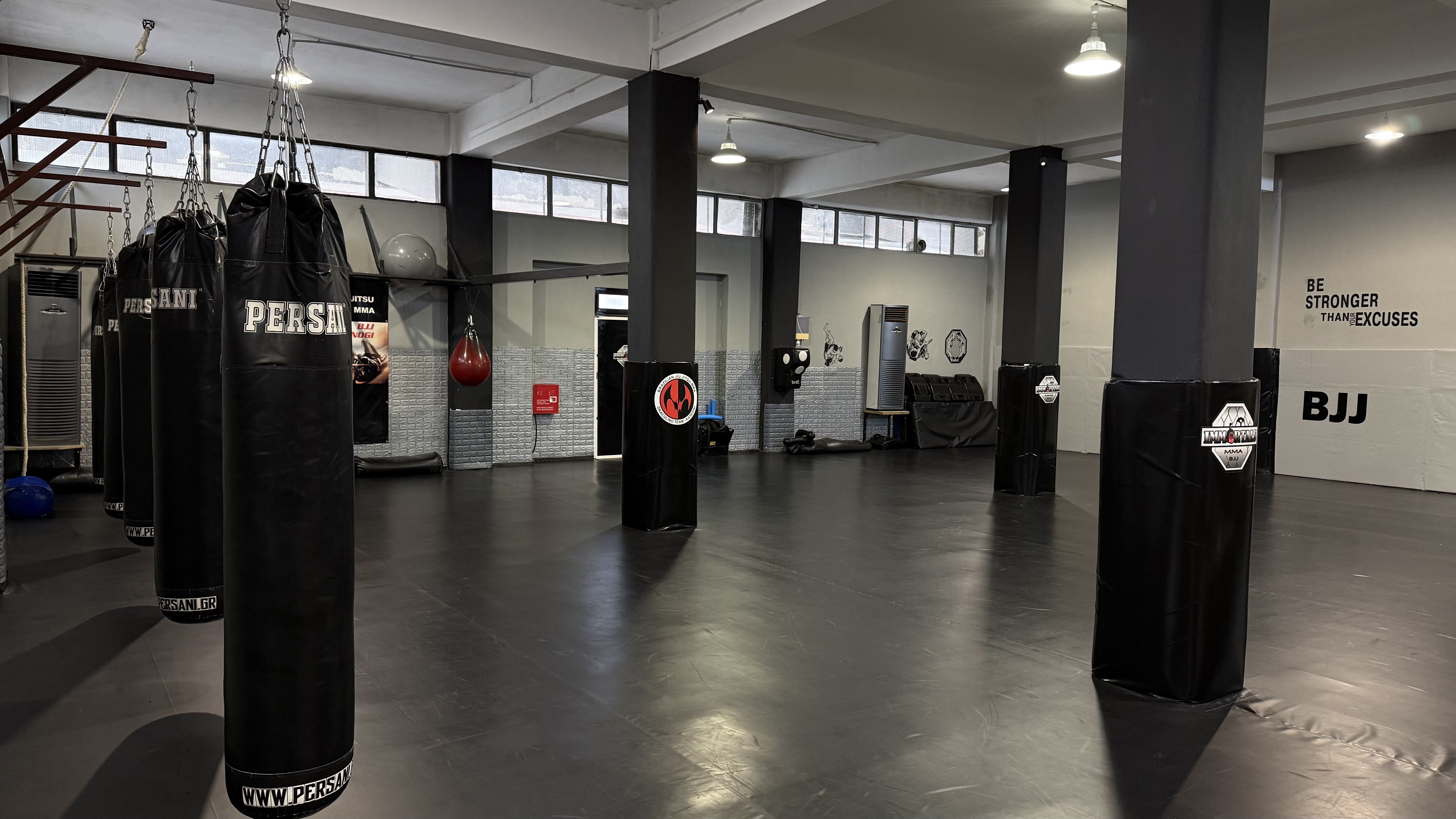 Mat Area — Immortals MMA & BJJ