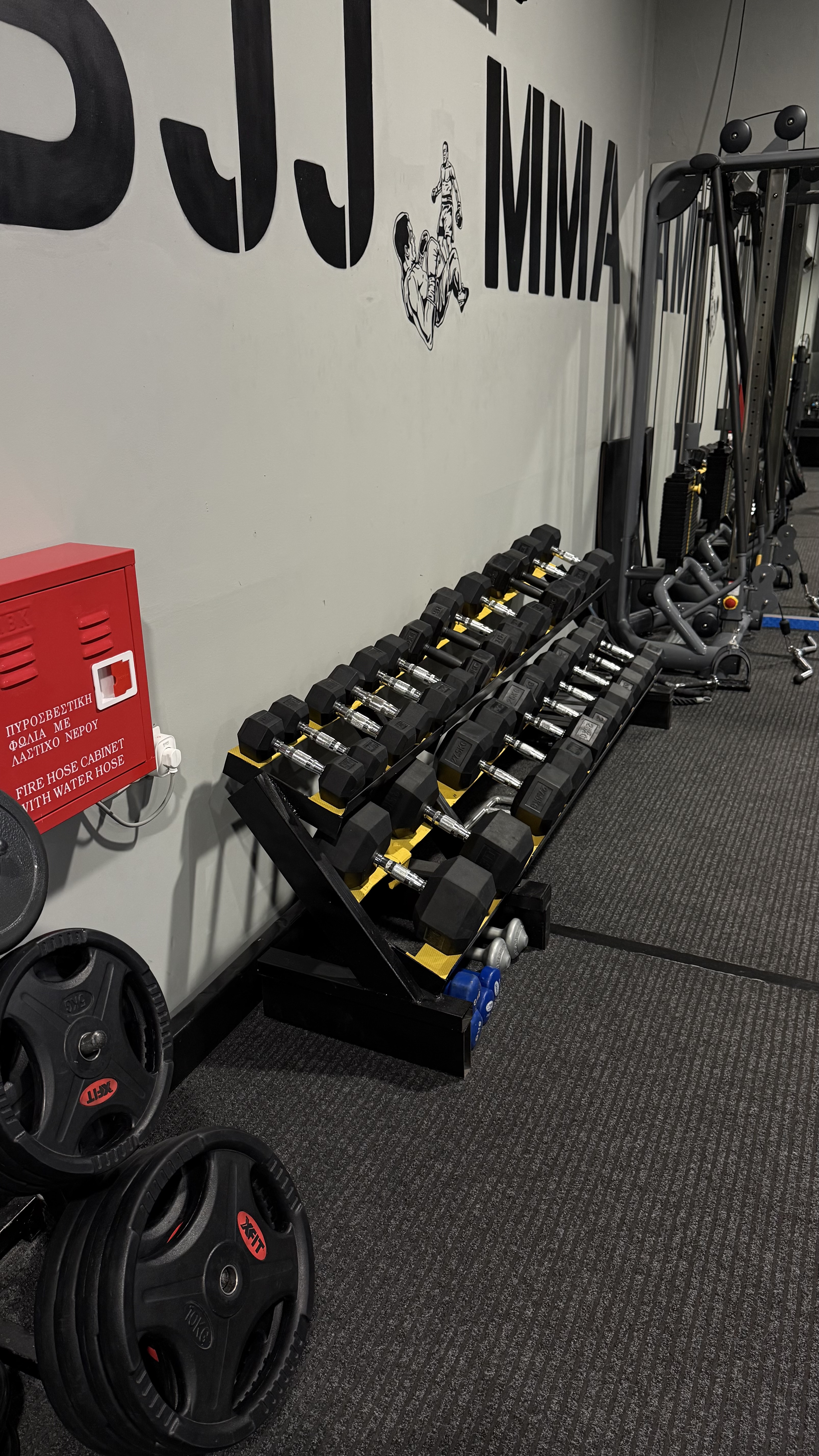 Weights Room — Immortals MMA & BJJ